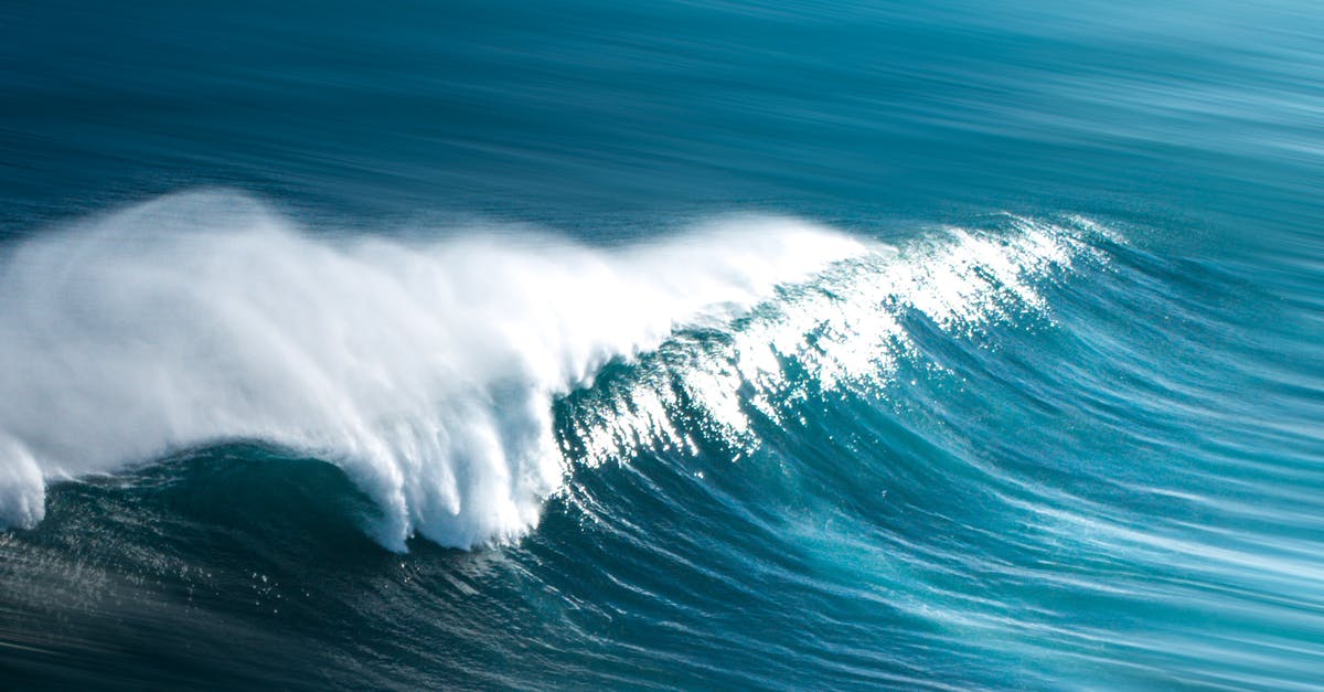 A person riding a wave in the ocean